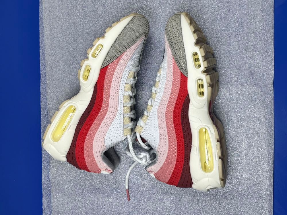 Nike air Max 95 anatomy of air Chaussures