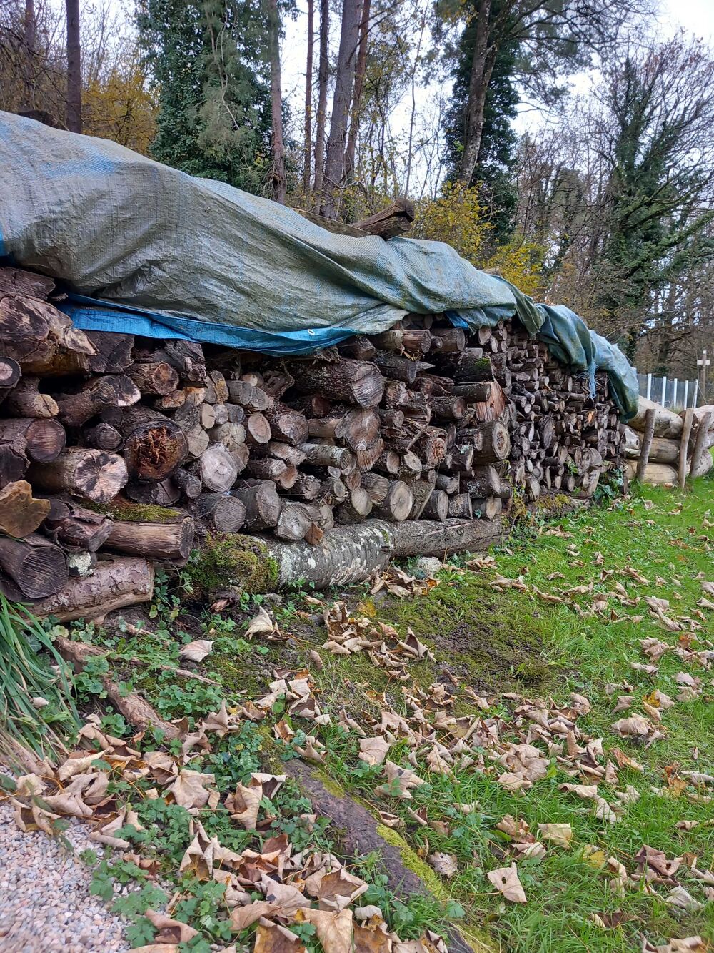 bois chauffage Jardin