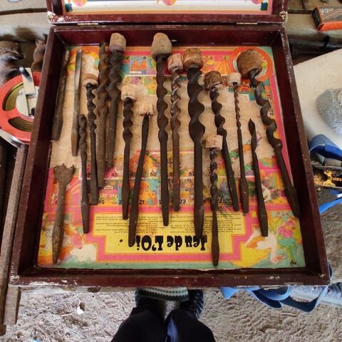 Foret 1 trentaine 25 Soullans (85)