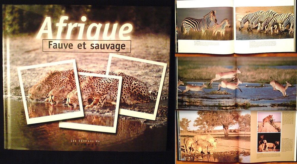LIVRE MAURITANIE VILLES DE SABLES + AFRIQUE FAUVE Livres et BD