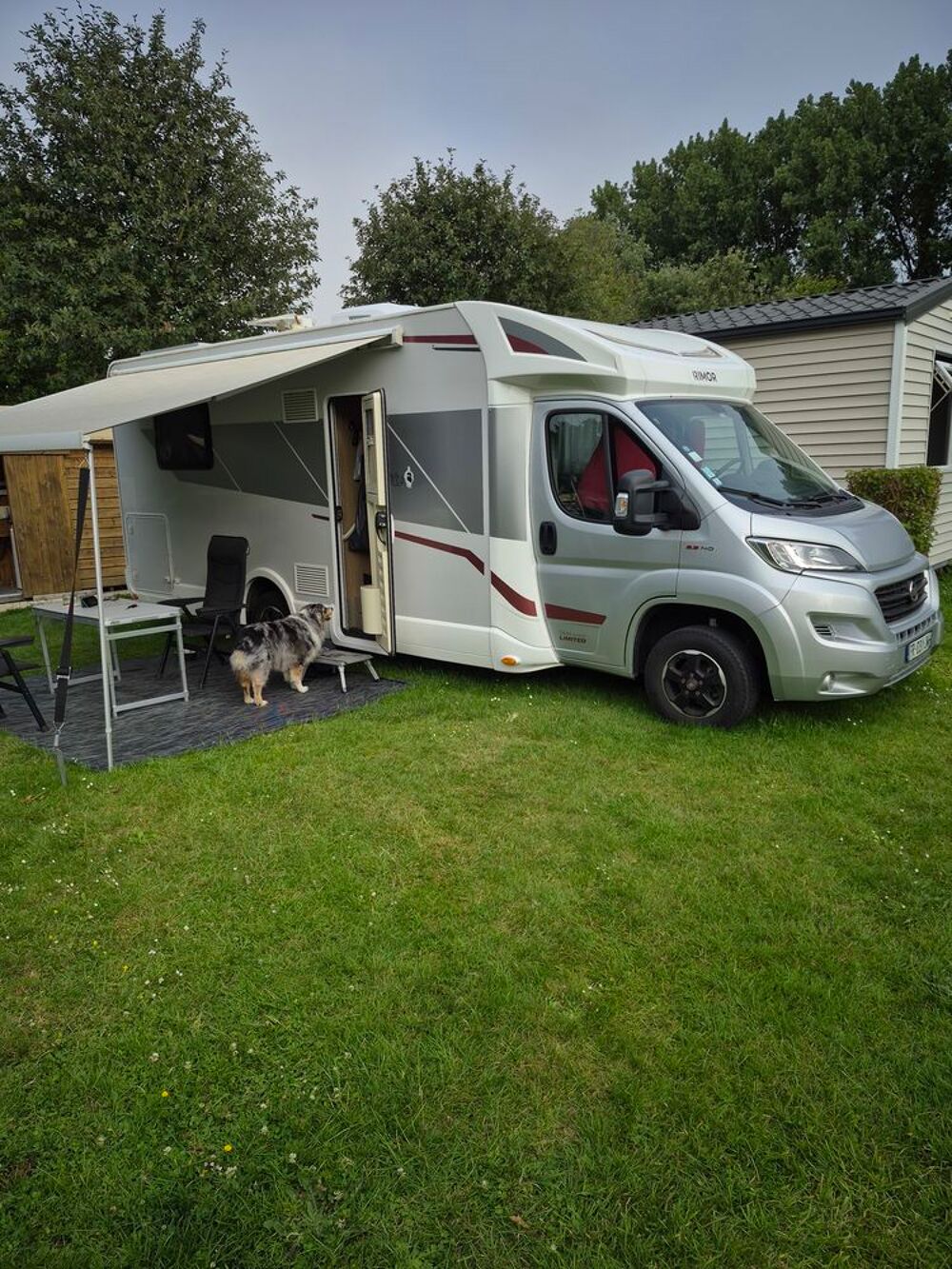  2020 occasion 59500 Douai