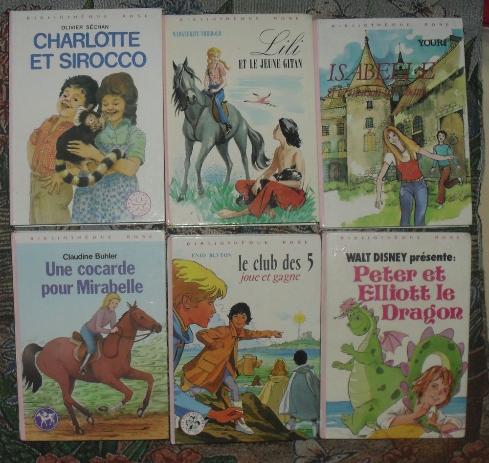 Lot de 6 livres S&eacute;rie Rose.
En tr&egrave;s bon &eacute;tat. Livres et BD