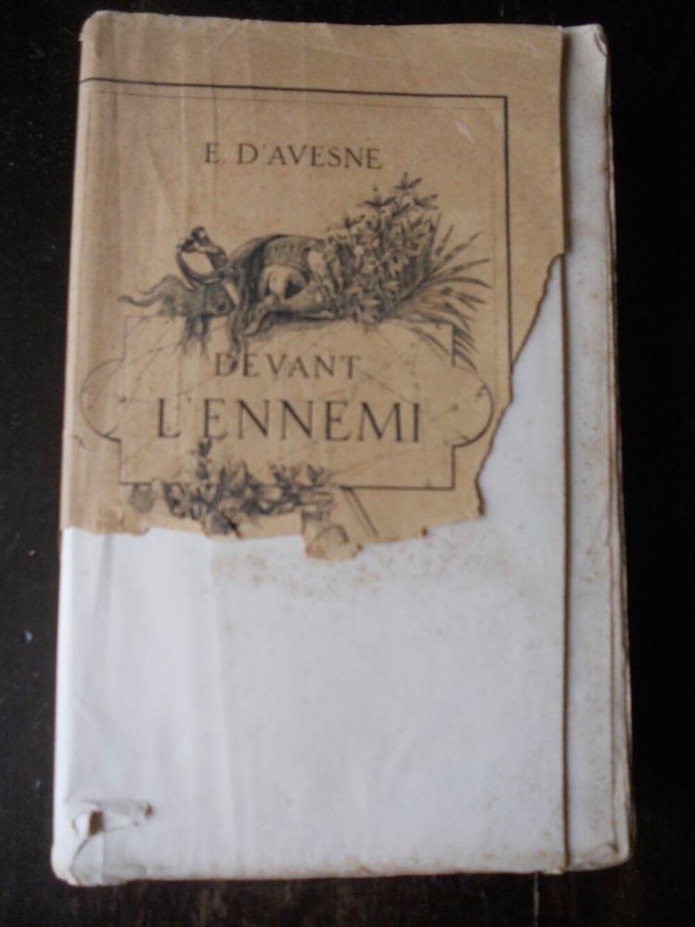 DEVANT L'ENNEMI par E d'AVESNE 1888 Livres et BD