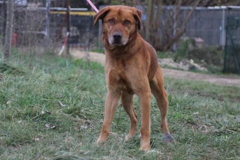 Jeffrey 130 26700 Pierrelatte