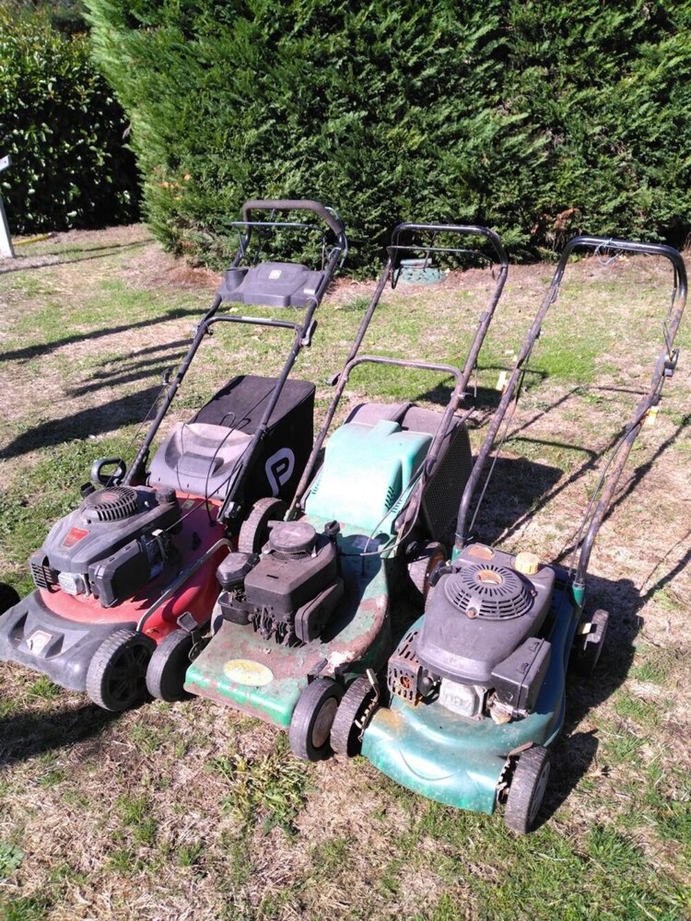 TONDEUSE A GAZON Jardin