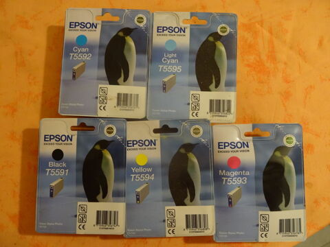 Cartouches EPSON T5591, 2, 3, 4, 5 5 Labge (31)