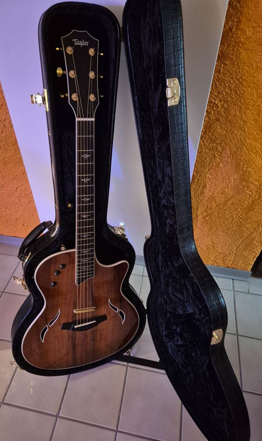 GUITARE ELECTRO-ACOUSTIQUE TAYLOR Instruments de musique