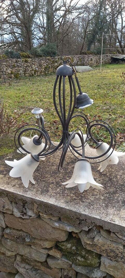 Suspension 5 tulipes 100 Lissac-et-Mouret (46)