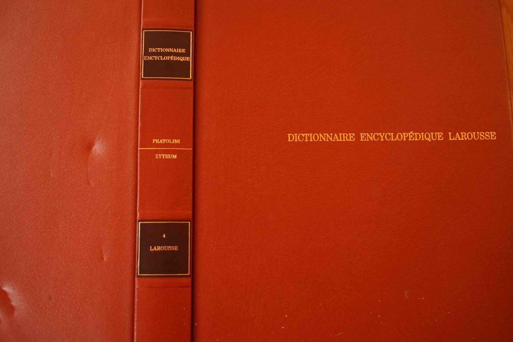 DICTIONNAIRE ENCYCLOPEDIQUE LAROUSSE Livres et BD