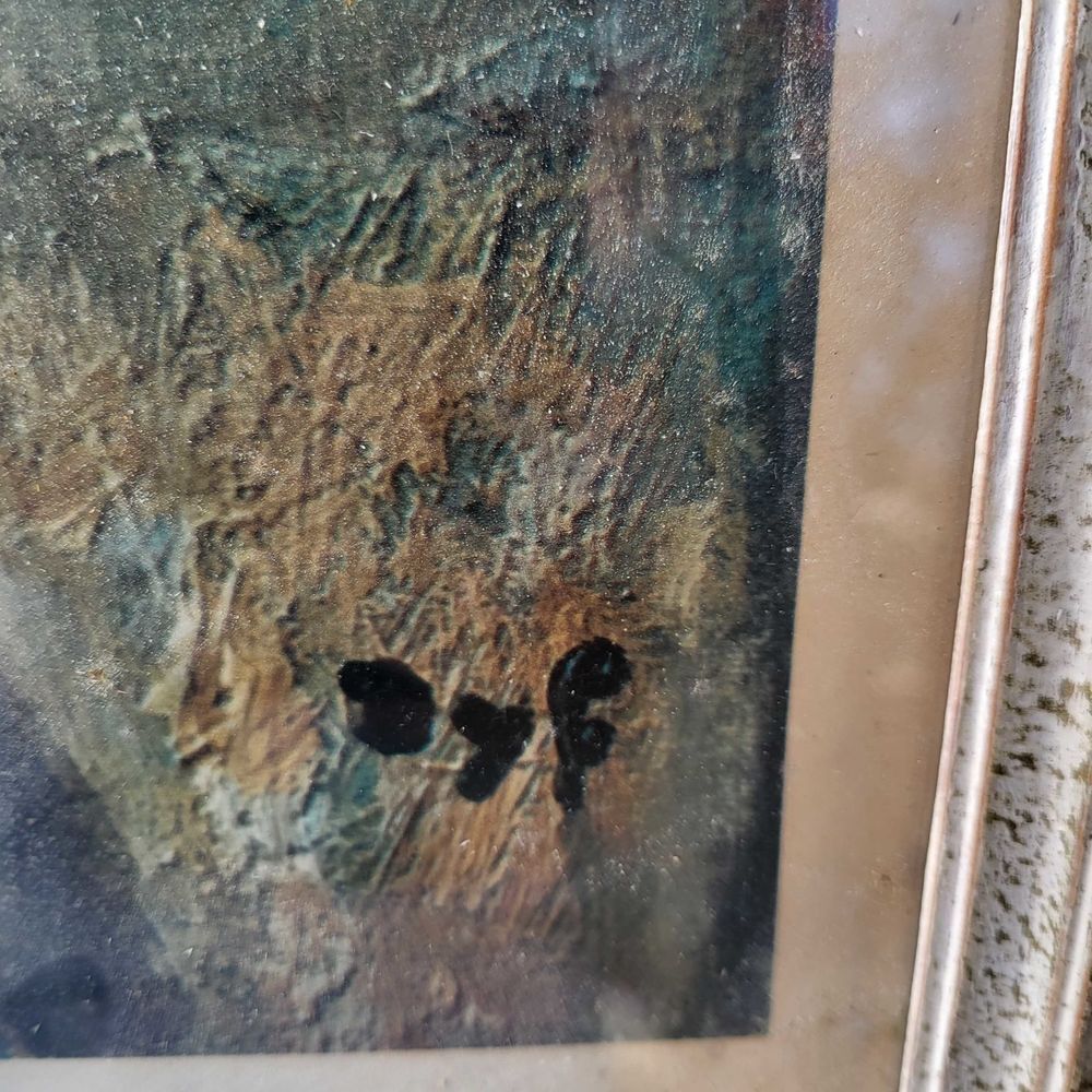 lithographie sous verre ancien sign&eacute; DYF 