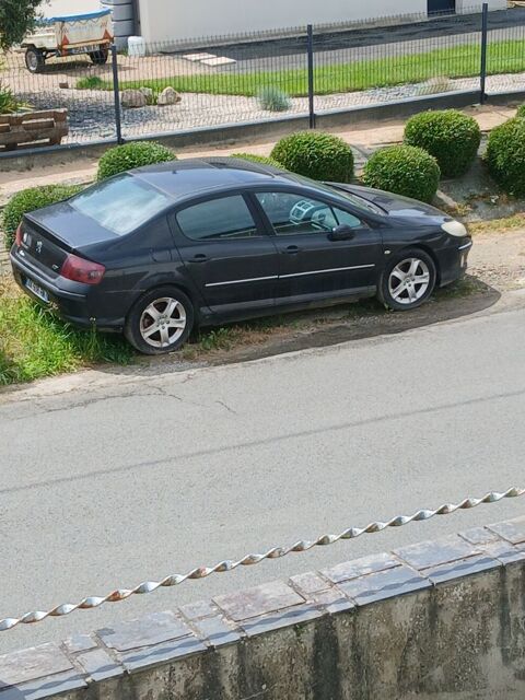 Peugeot 407 2.2e 16v Exécutive Pack
