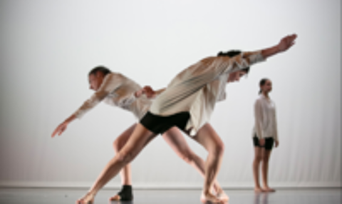   Cherche danseurs / danseuses amateur Contemporain 