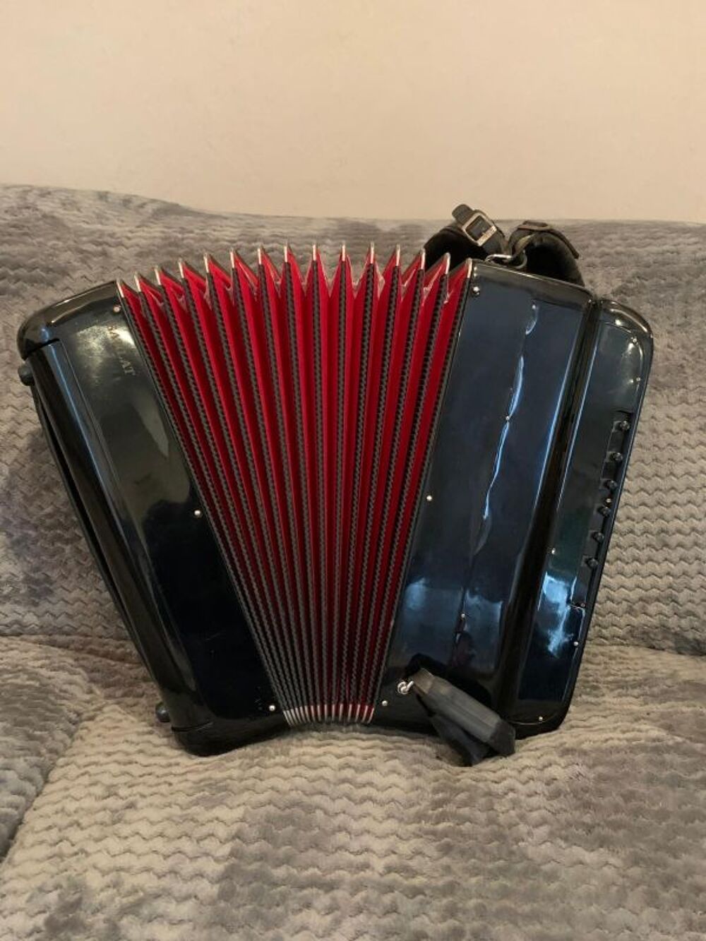 A saisir ACCORDEON ACCORDIOLA 120 basses Instruments de musique