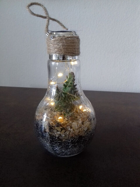 Terrarium pour d�co avec cactus 20 euros 20 Vendargues (34)