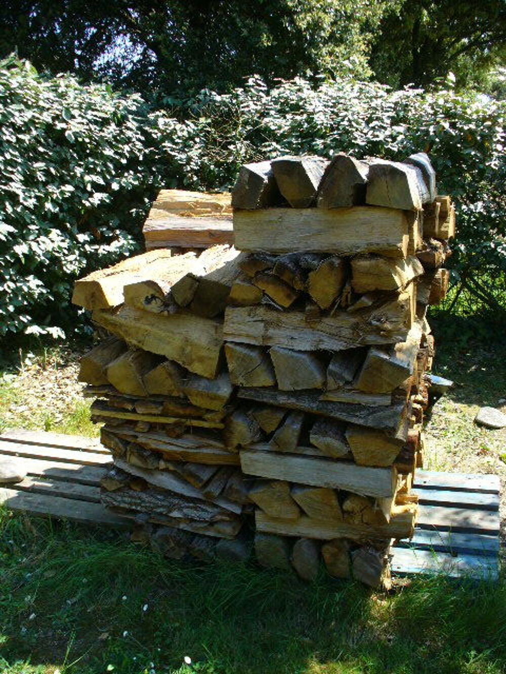 1.5 st&egrave;re bois de chauffage - B&ucirc;ches de 50 cm Bricolage