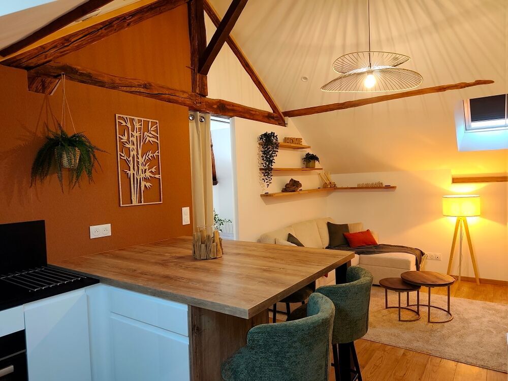 Location Appartement Charmant T2 meublé entièrement rénové avec parking privatif Beaune
