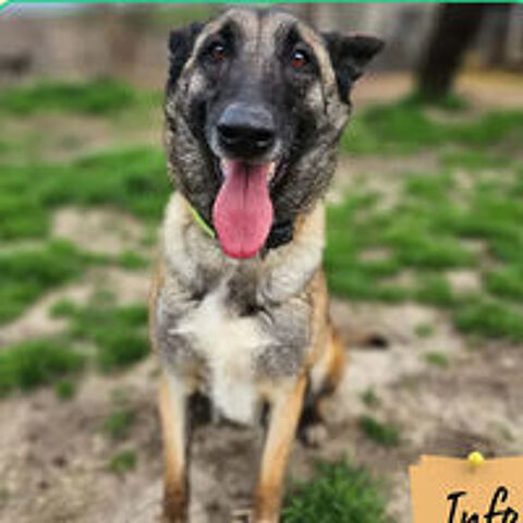   Nella  