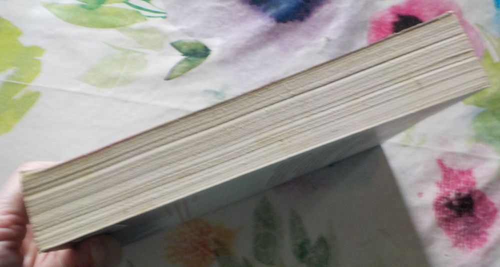 LES BOIS MEURTRIERS de Ginna GRAY Ed. Mira Livres et BD