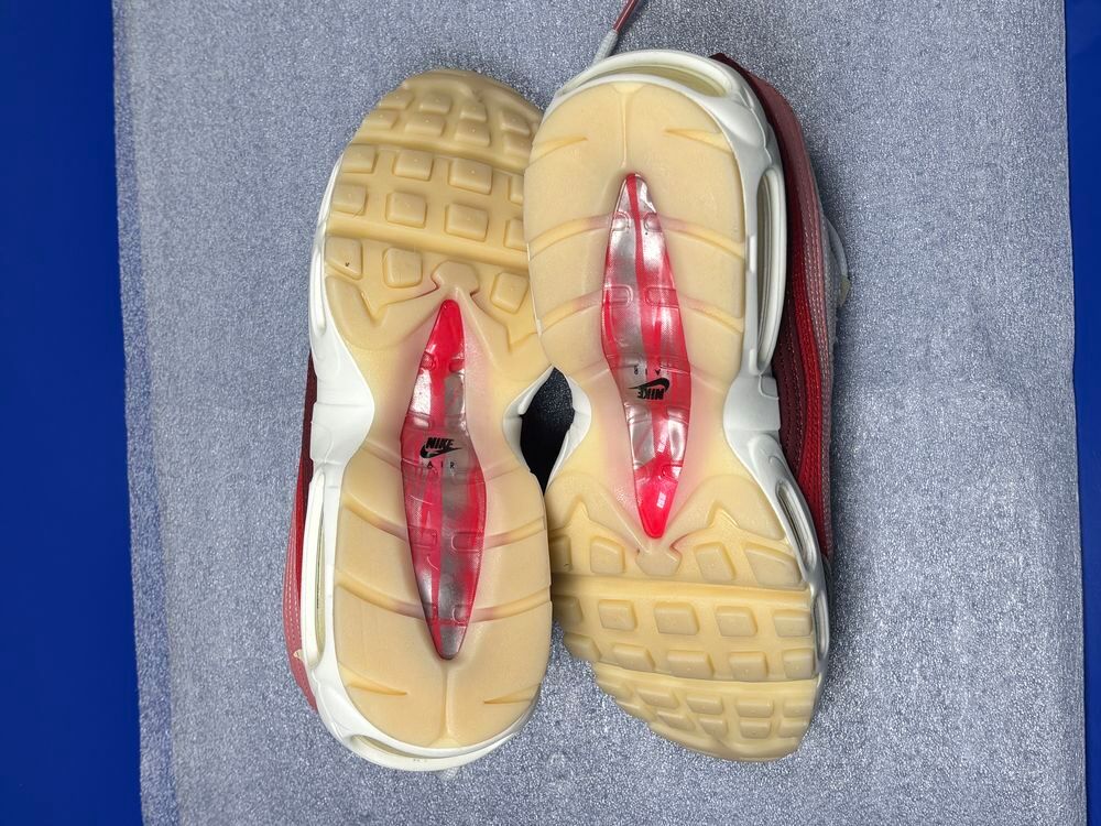 Nike air Max 95 anatomy of air Chaussures