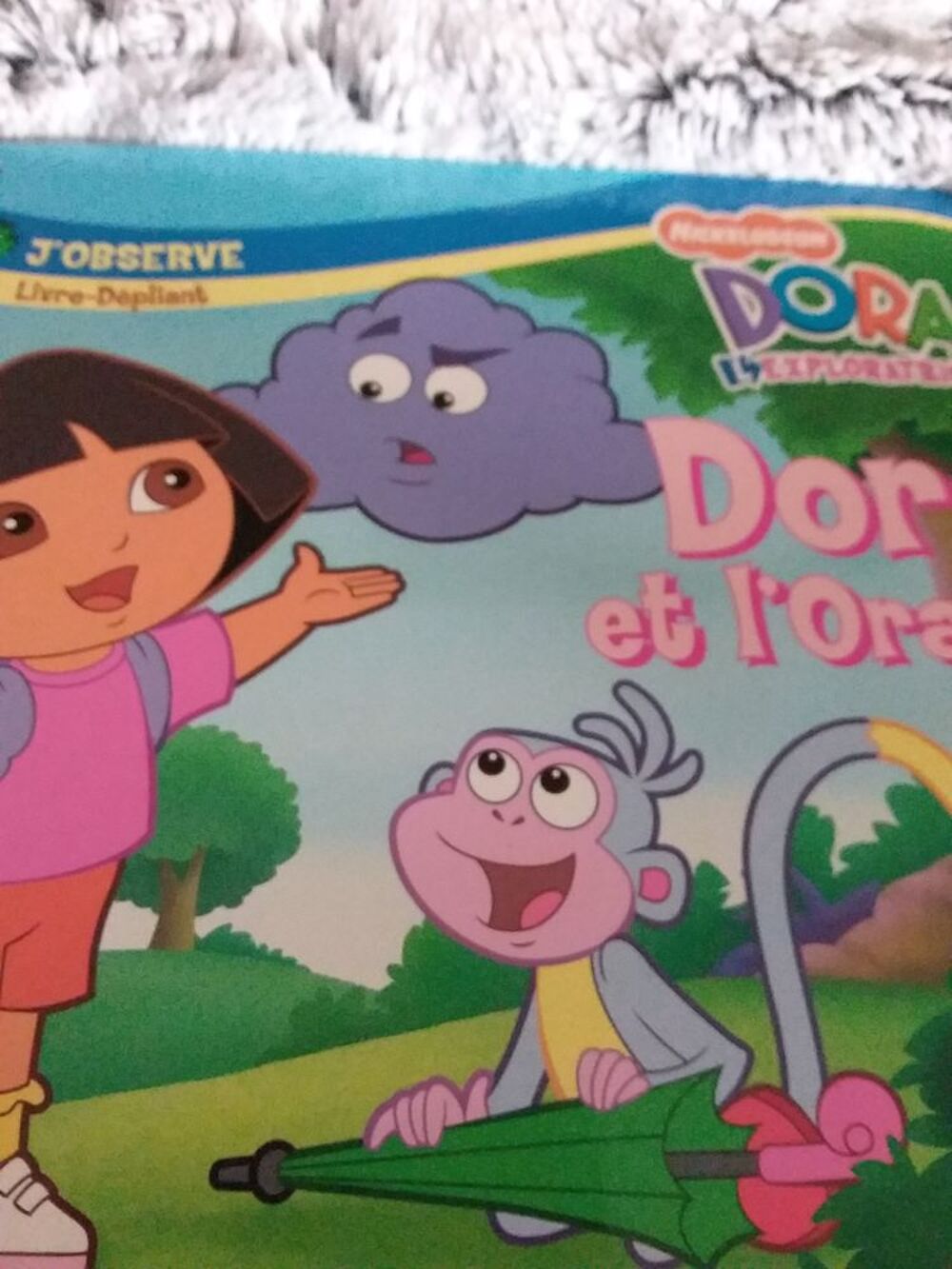 Dora et l orage Livres et BD