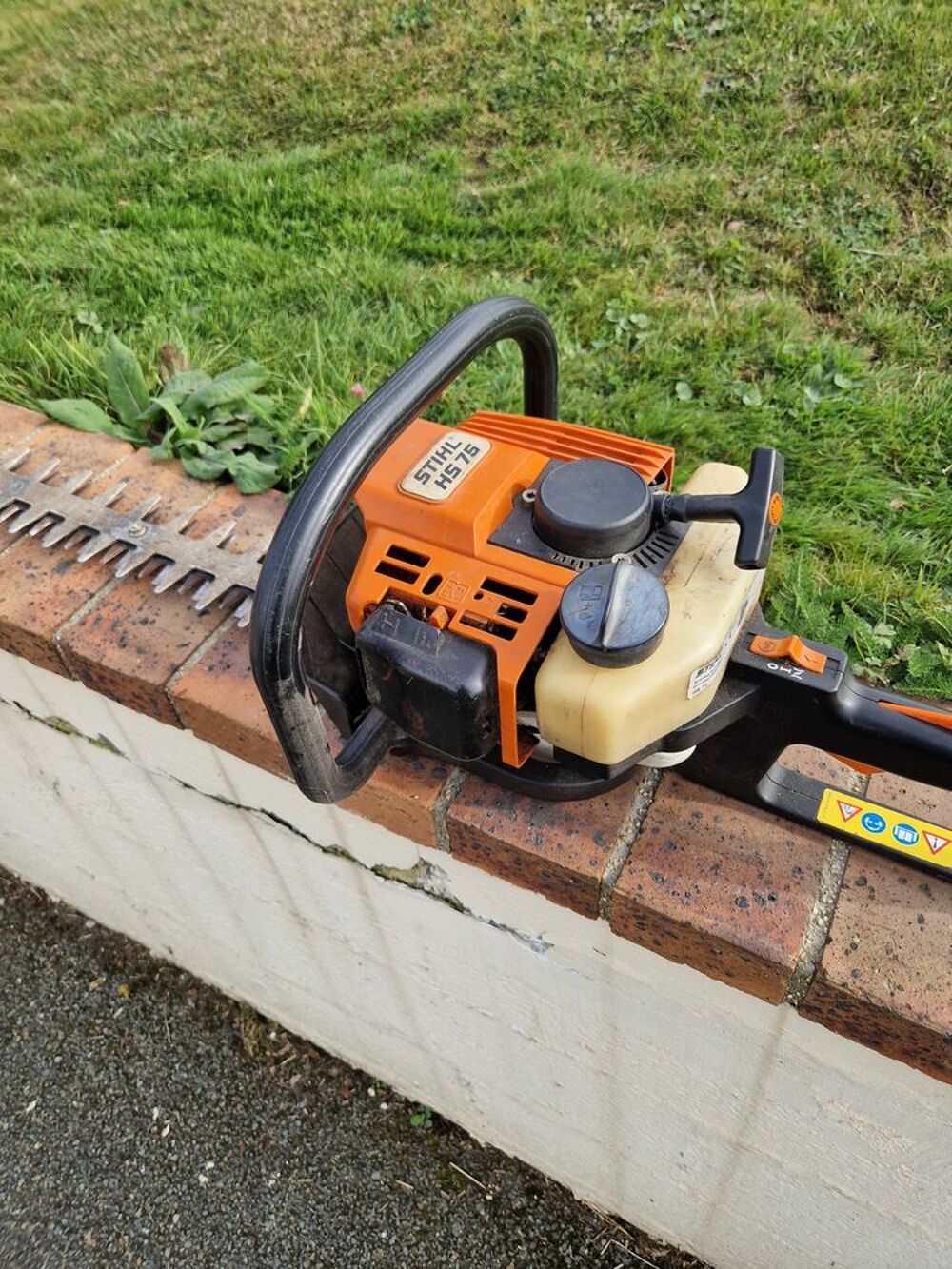 Taille haie thermique Jardin