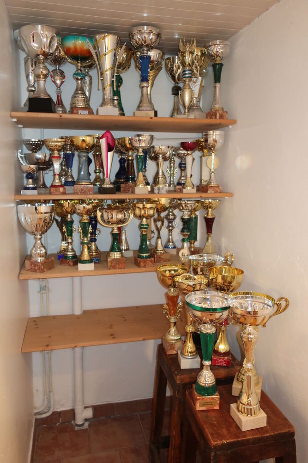 Lot de coupes sportives Sports