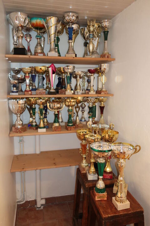 Lot de coupes sportives 50 Fouras (17)