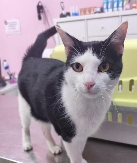 OREO 230 27620 Gasny