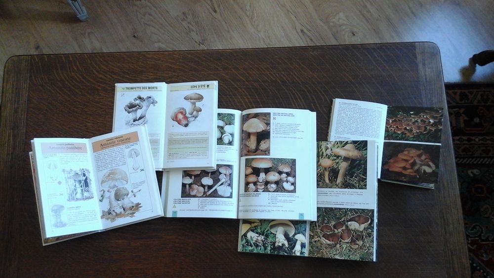 Livres pour identifier les champignons Livres et BD