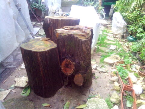 3 troncs d'arbre Montauban (82)