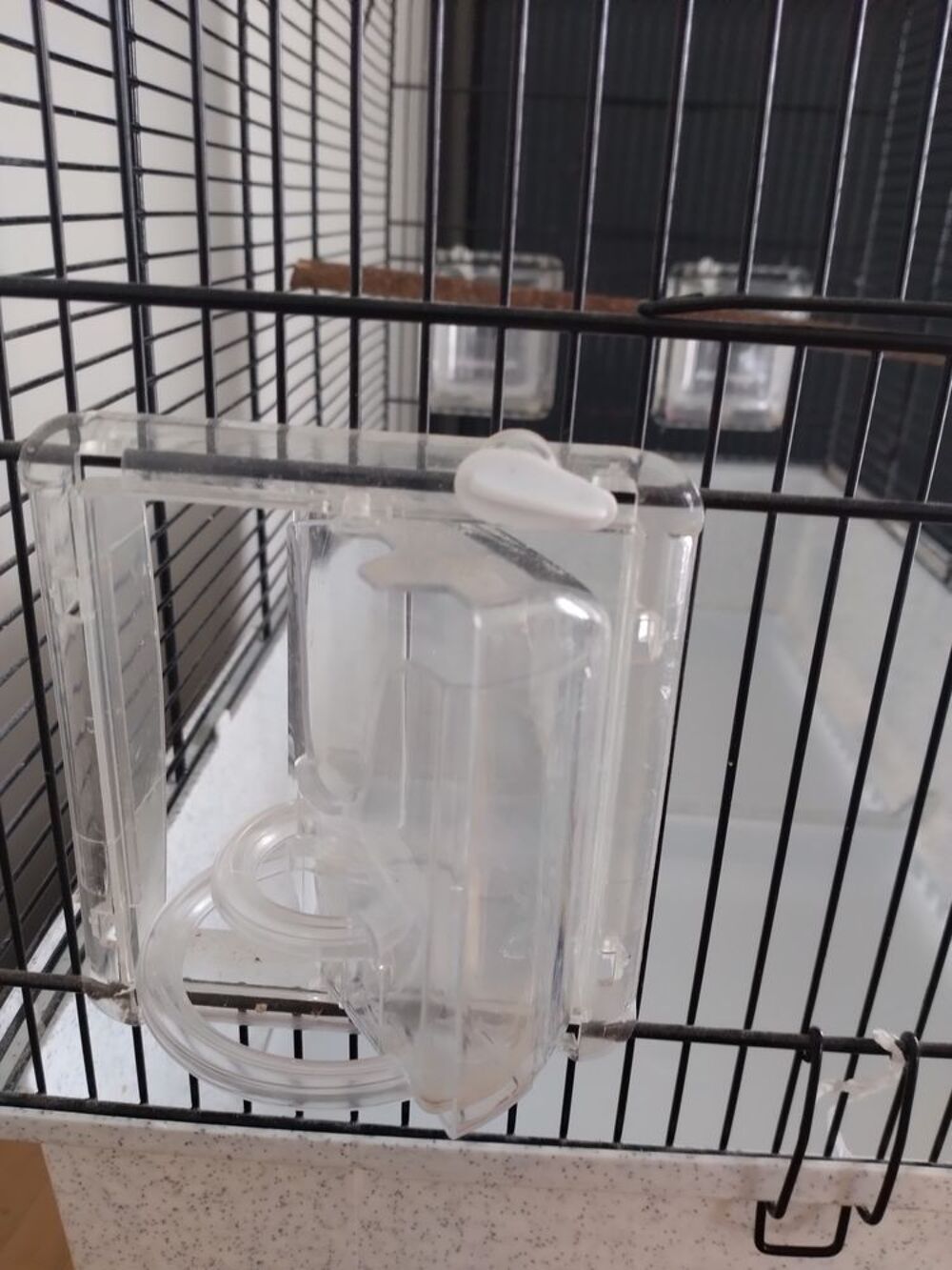   Cage oiseaux Canto  