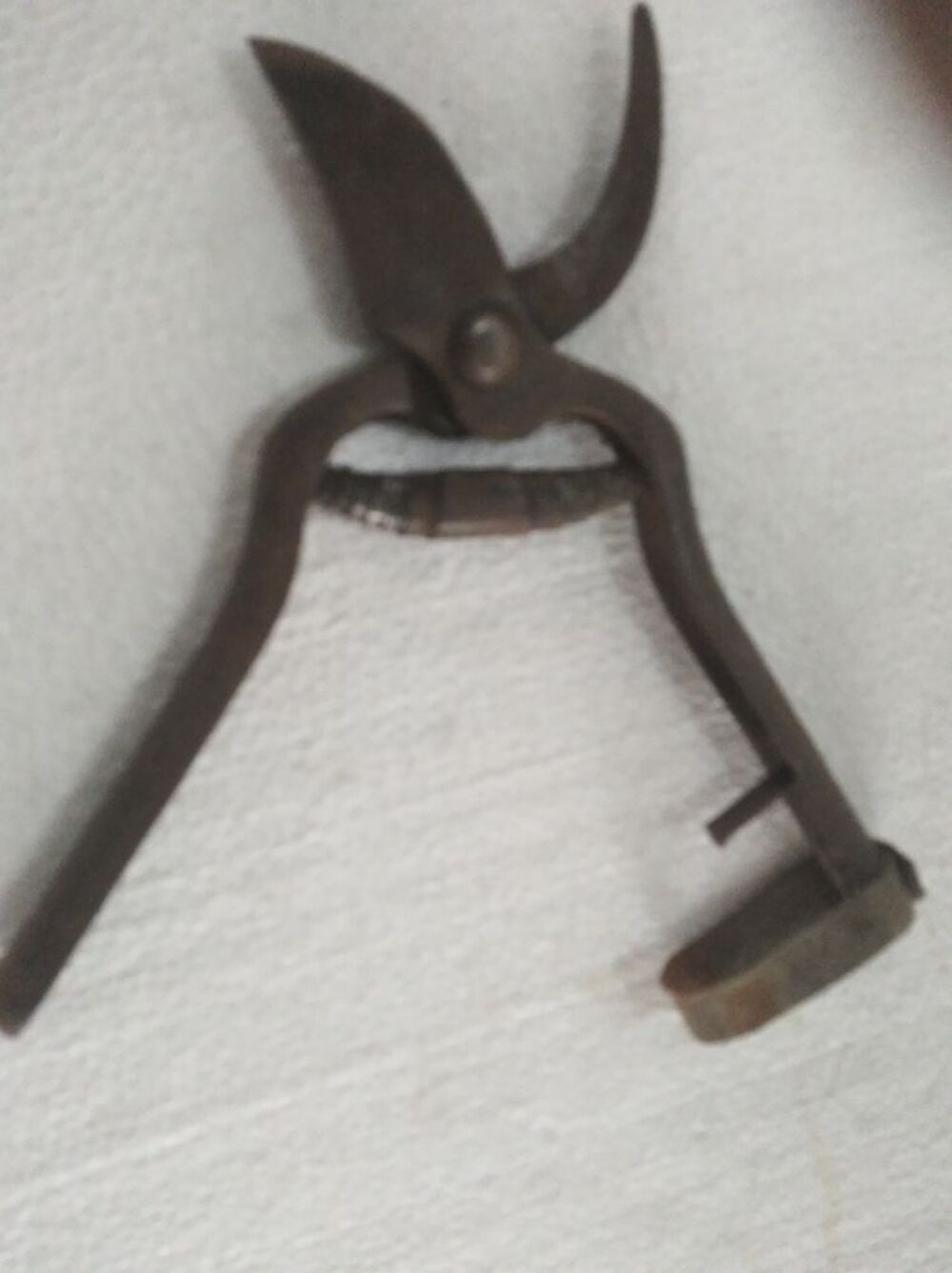 Cisaille pour taille Bricolage
