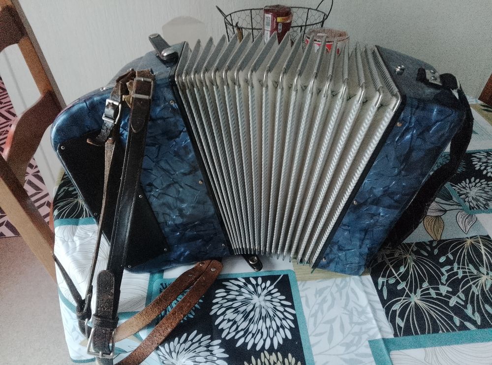 Accord&eacute;on bleu 28 touches Instruments de musique
