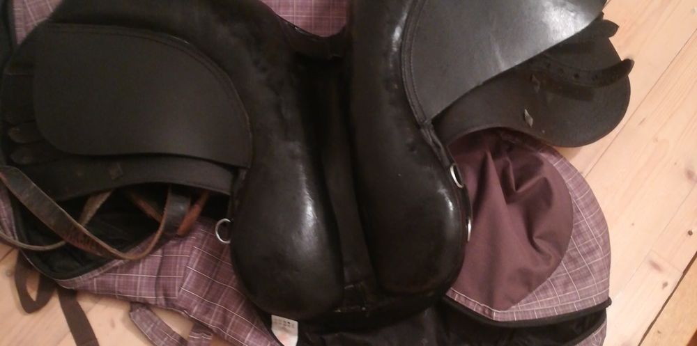  Sel et filet d'&eacute;quitation Sports