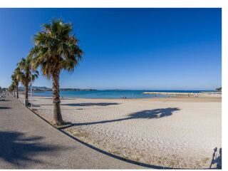  Appartement � vendre 2 pi�ces 45 m�