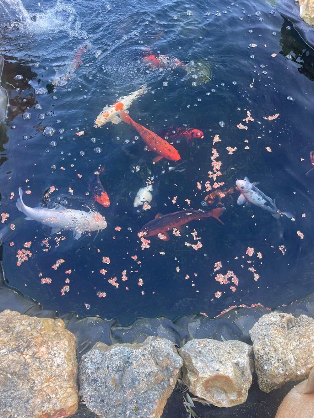 Carpe Ko&iuml; Jardin