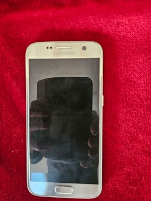Samsung Galaxy S7 argent 120 Izon (33)