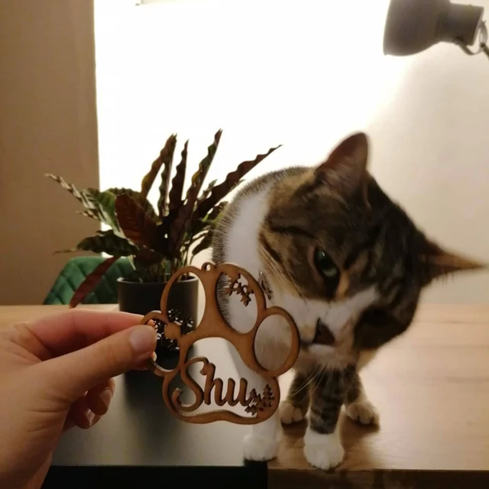 Boule de no&euml;l en bois pr&eacute;nom sapin personnalisable animaux Décoration