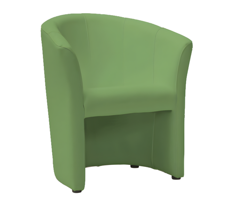 FAUTEUIL BERGERE 80 Bergues (59)