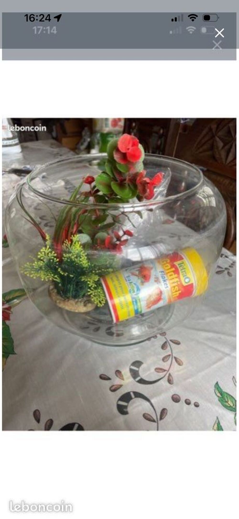 aquarium poisson Décoration