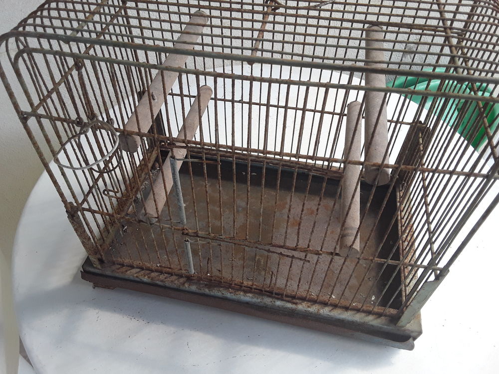   Petite cage  oiseaux ancienne dans son jus 