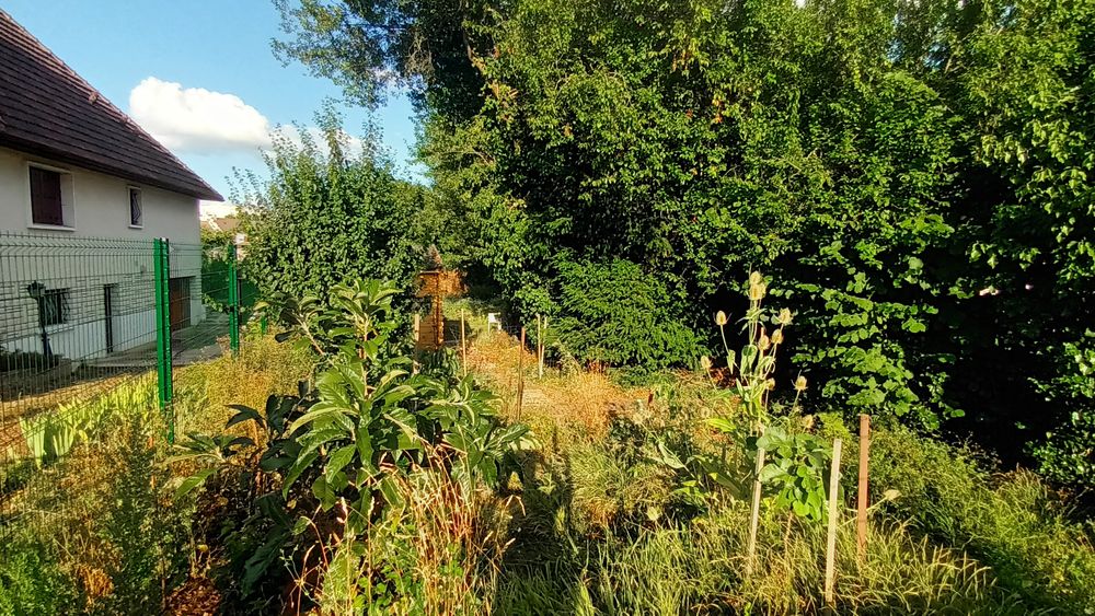 Vente Terrain Terrain nu constructible. 385m2 Ris-orangis
