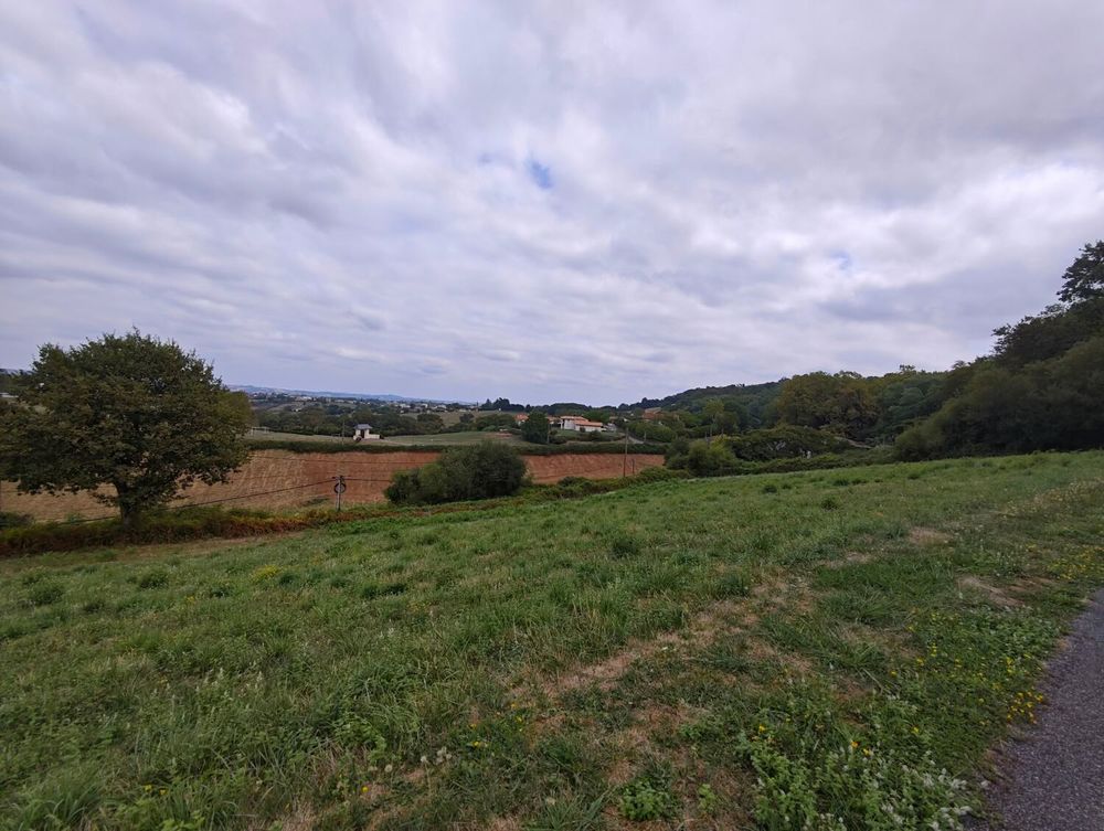 Vente Terrain Terrain 3000 m² (en 2 parcelles) ? Luxe-Sumberraute 