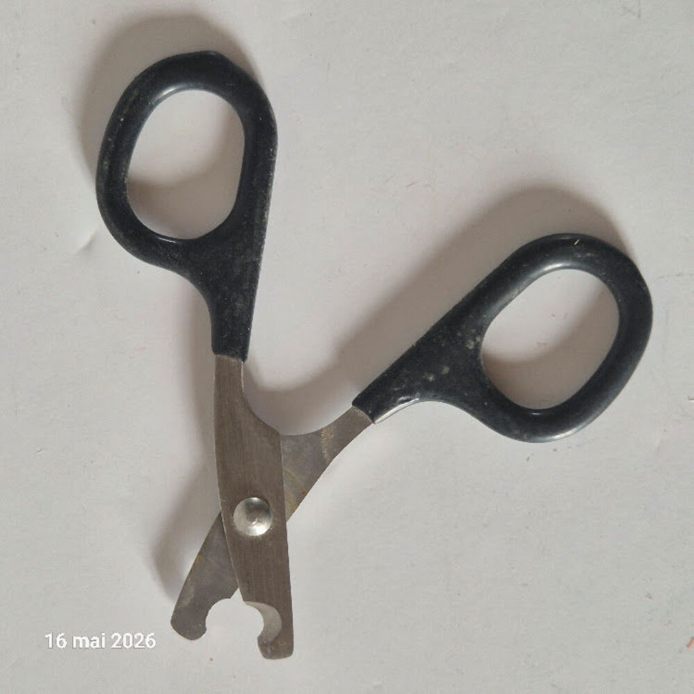 Coupe-griffes pour rongeur ou chat 
longueur 8 Bricolage