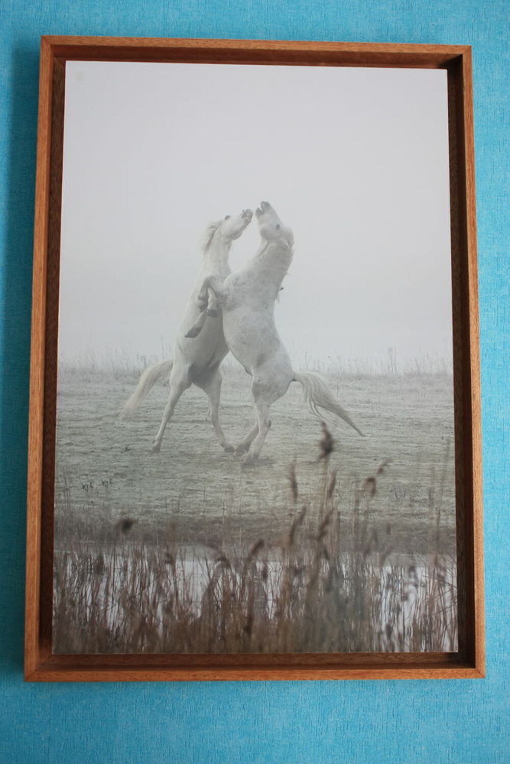 cadre avec photo de chavaux dans la brume Décoration