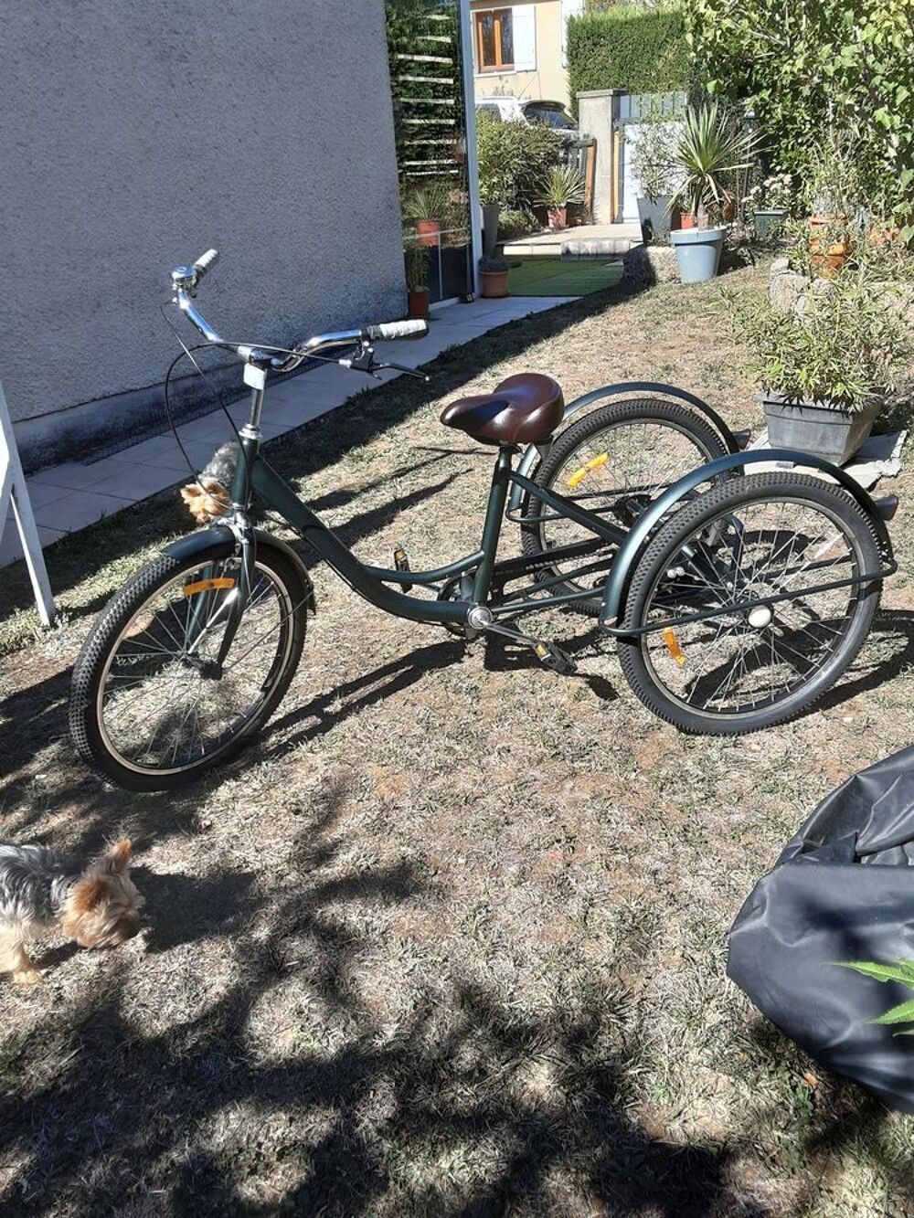 tricycle adulte Vélos