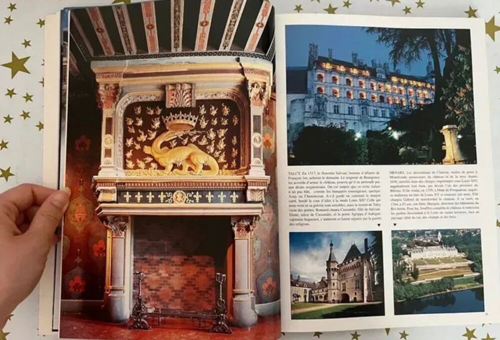 Ch&acirc;teaux de la Loire. Livre Illustr&eacute;. Excellent &Eacute;tat Livres et BD