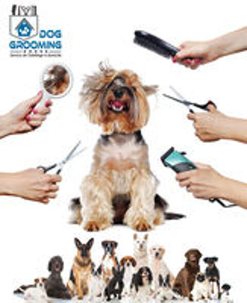   Naturopathe/ Toiletteur animalier  