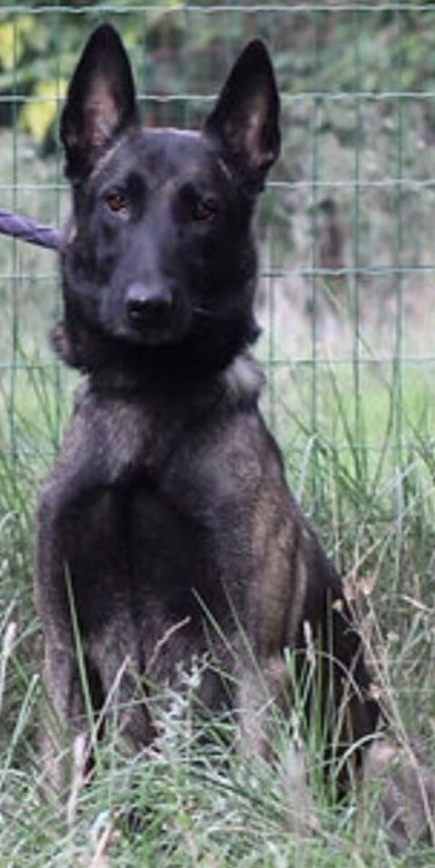 Pako 26700 Pierrelatte