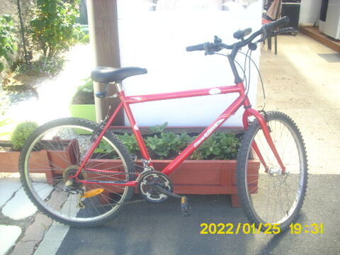 VTT 50 Saint-Julien-de-Concelles (44)